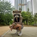 엑티브8 | [내돈내산]살로몬 액티브스킨8 러닝조끼 후기