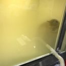 성신동물병원 이미지