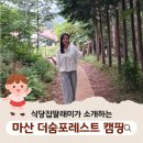 오토오아시스 롯데마트 창원중앙점 | 경남 창원 마산 바다뷰 캠핑장 더숨포레스트 오토캠핑 파쇄석 카라반 펜션 수영장 매점 아이랑 가기...