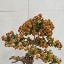 메디움천안요양병원 이미지