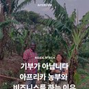 키자미테이블