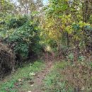 용덕주유소 이미지