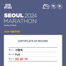 담쟁이 서울동아마라톤 42km/ 119km 이미지