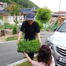 강남동-5 이미지