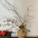 덴바스타 료칸 이미지