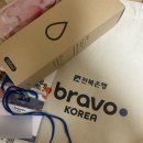 브라보 PT | [브라보코리아 서포터즈 1기] 전북은행 브라보코리아 서포터즈 합격+발대식 후기 | 금융권대외활동|전북...