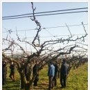 임실치즈골 은주네농장 이미지