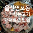 니가사는고기