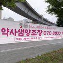 샘디자인，인쇄
