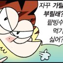 가탈 이미지