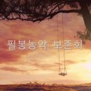 임실필봉농악 이미지
