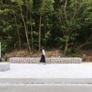 시기공추 이미지