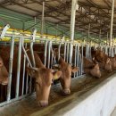 지정축산 이미지