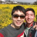 유채하우스 이미지