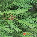 리본(Reborn) 이미지