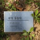 박민광 밝의뉘 네이버블로그