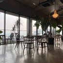 보목동포구카페