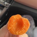 리터킹청주점 - 4070 | 울면 한 대 울면 한 대