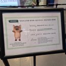 아이파크 | 약사의 혼잣말 전시 굿즈 용산 아이파크몰 관람 후기