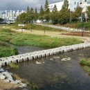 동천교 남쪽 이미지