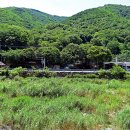 들살이오토캠핑장 이미지