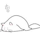 안양본동물의료센터 이미지