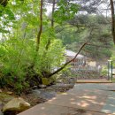 찬물내기관광농원 이미지