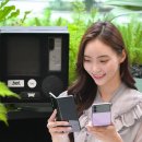 플립