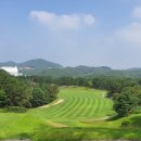 대신 골프 프라자 이미지