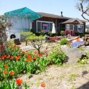 강촌설렁탕 이미지