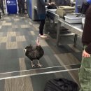 종석농장 이미지