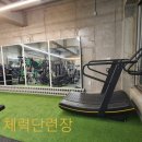 하이닉스주짓수
