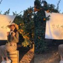 서현농장 이미지