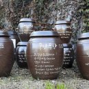 고운잎사과 이미지