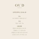 2685 | w3-2. 부산 웨딩촬영 추천 /오우드하우스 촬영 후기(김진우 작가님, 송선미 팀장님)