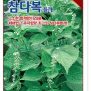진농바이오 네이버블로그
