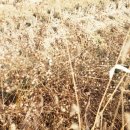 식물나라유기농영농조합법인 이미지