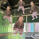 둔둔농장 네이버블로그