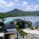 지인농장 이미지