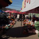 인삼문화센터 이미지