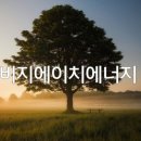 비지에이치(BGH)