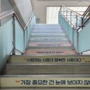 갤러리N북카페 | 서울 도심 피서지 남산도서관 방문후기 (주차 구내식당)