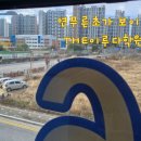 연푸른초 이미지