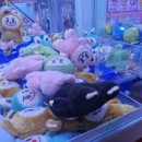 킹덤오락실 이미지