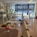 미소댕댕 이미지