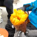 산으로간니모 이미지