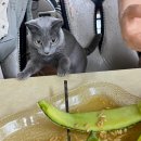 <b>에브리</b> <b>모닝</b> ㅇ