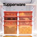 타파웨어 이미지