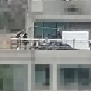 동해-단속-01 이미지