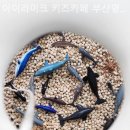 아이라이크키즈카페부산